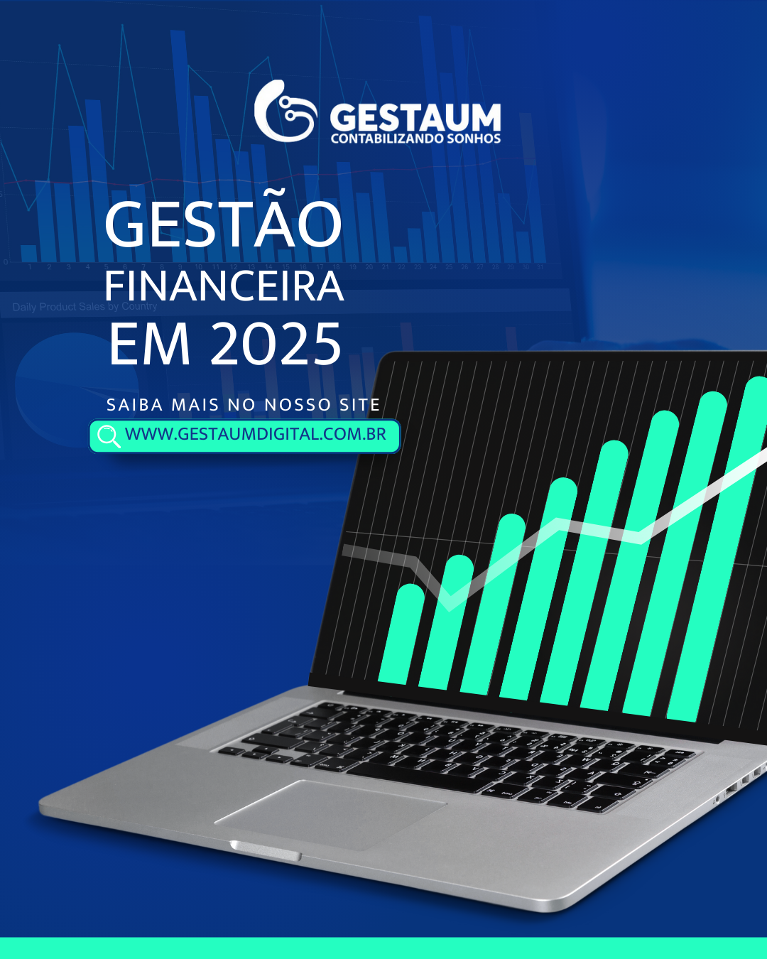 Gestão Financeira em 2025